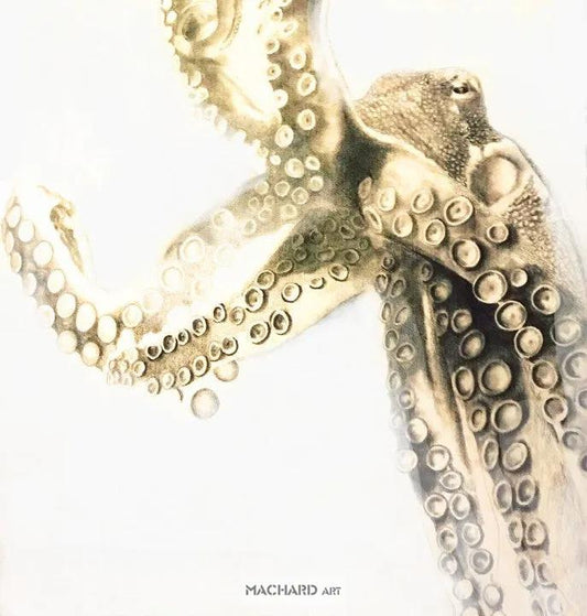 Majestic Ink: A Black and White Portrait of an Octopus