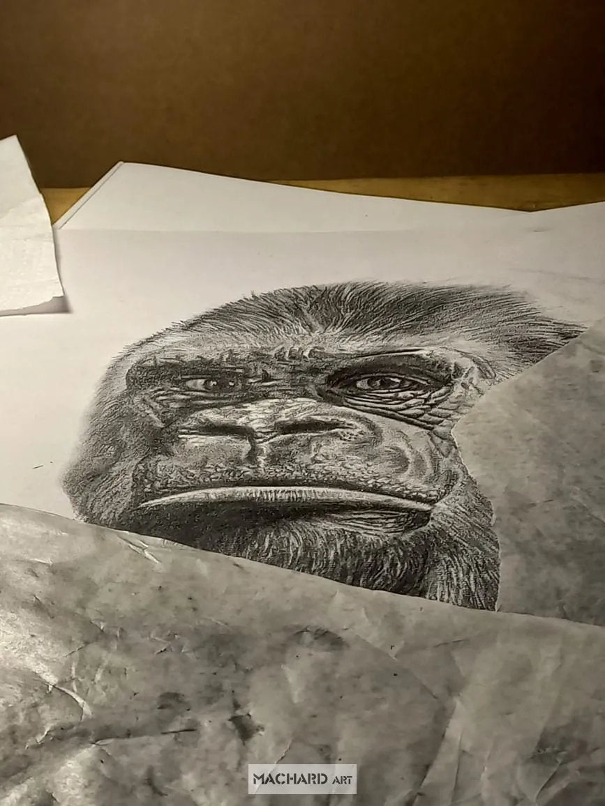 GUY GORILLA